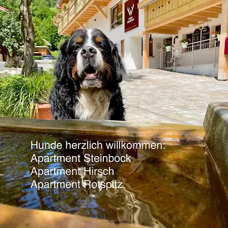 Hirschbach شقة